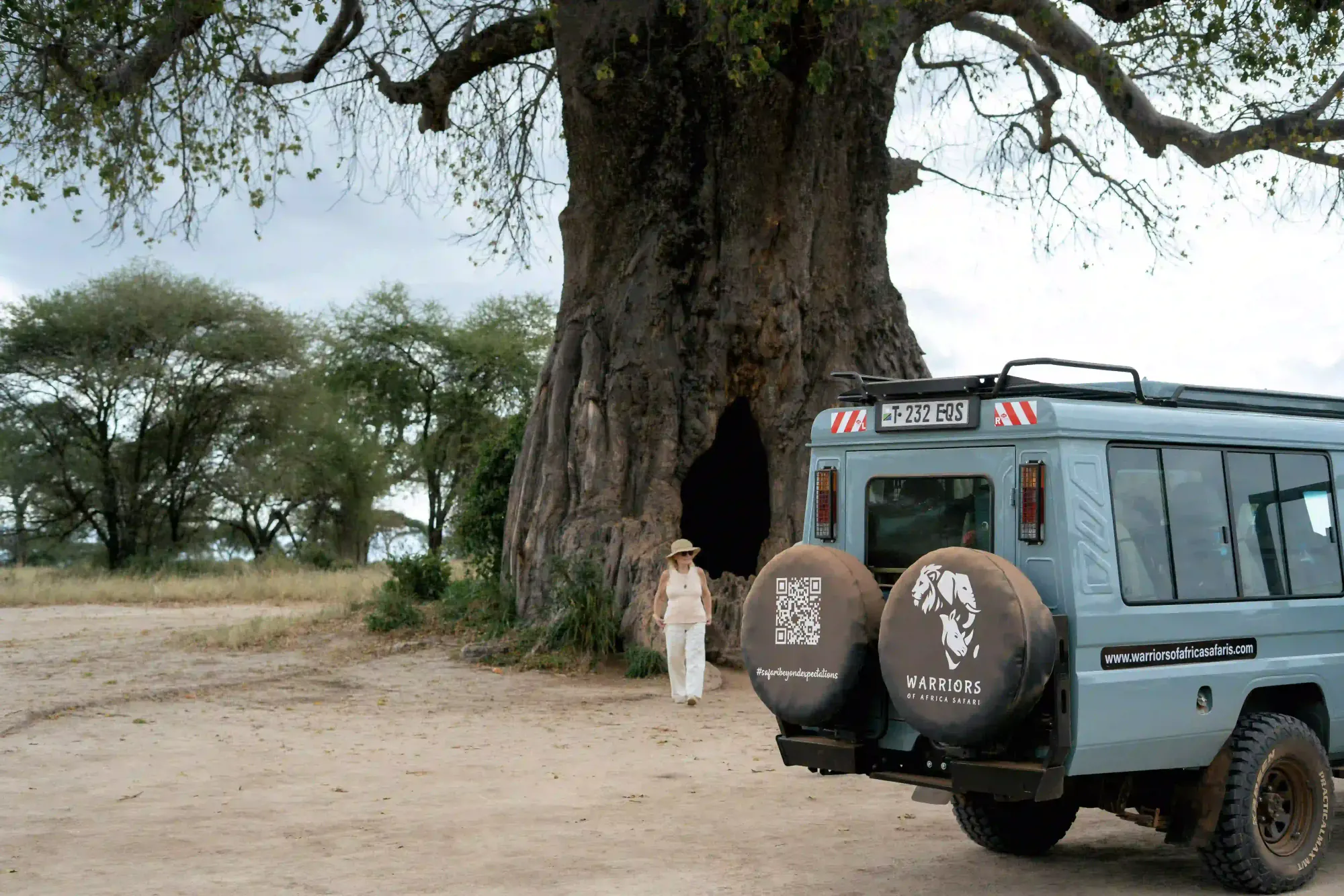 A guest walking out from the hollow of a giant baobab, our safari vehicle parked alongside