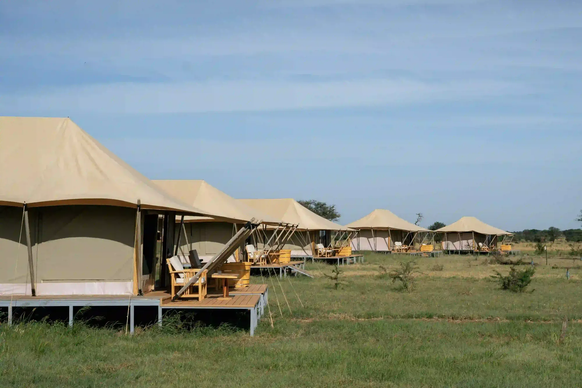 Best Luxury Safari Lodges and Camps in Tanzania: Angel’s Complete Guide – photo 5