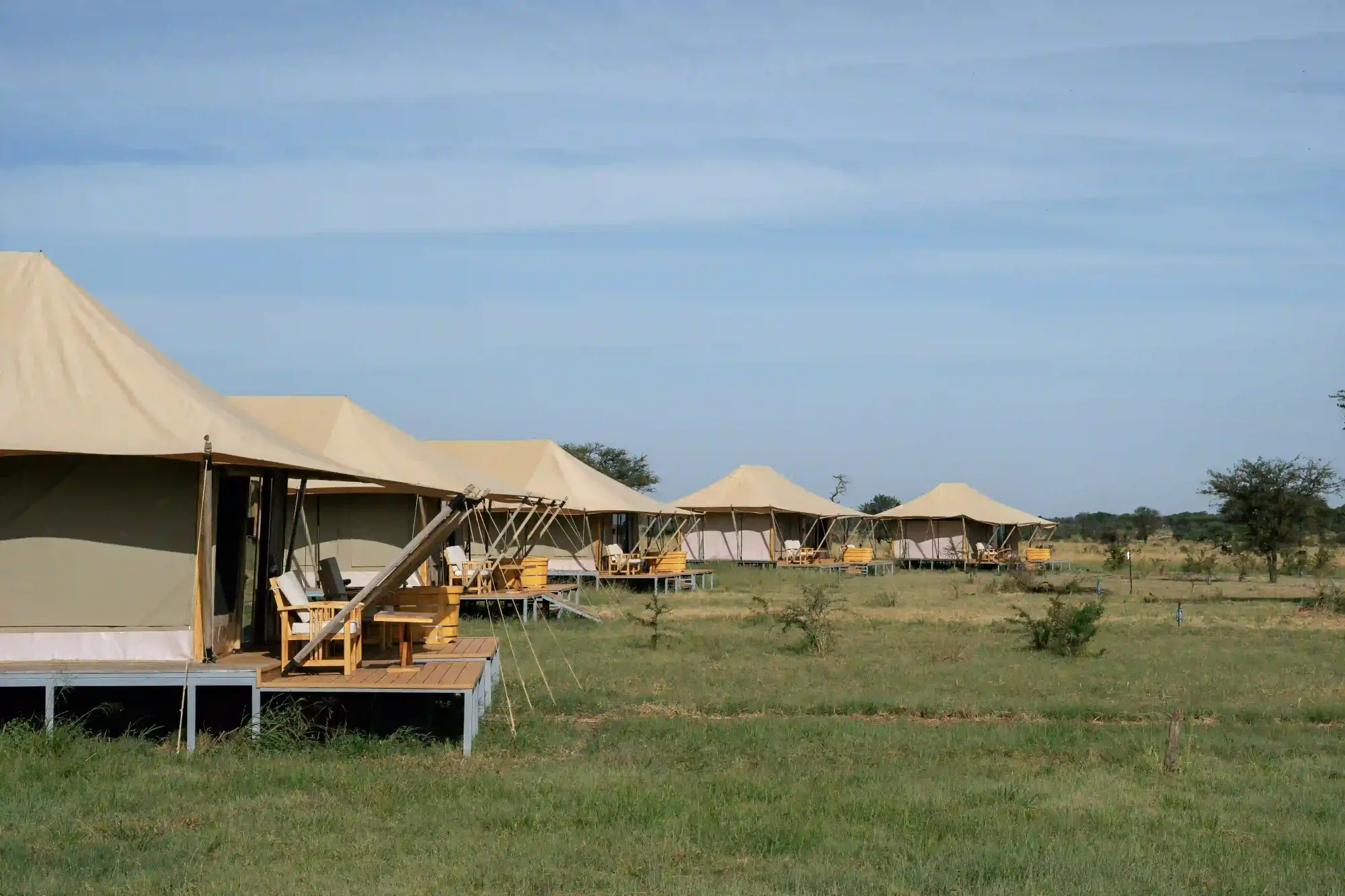 A row of luxury safari tents at camp — comfort close to the wild.
