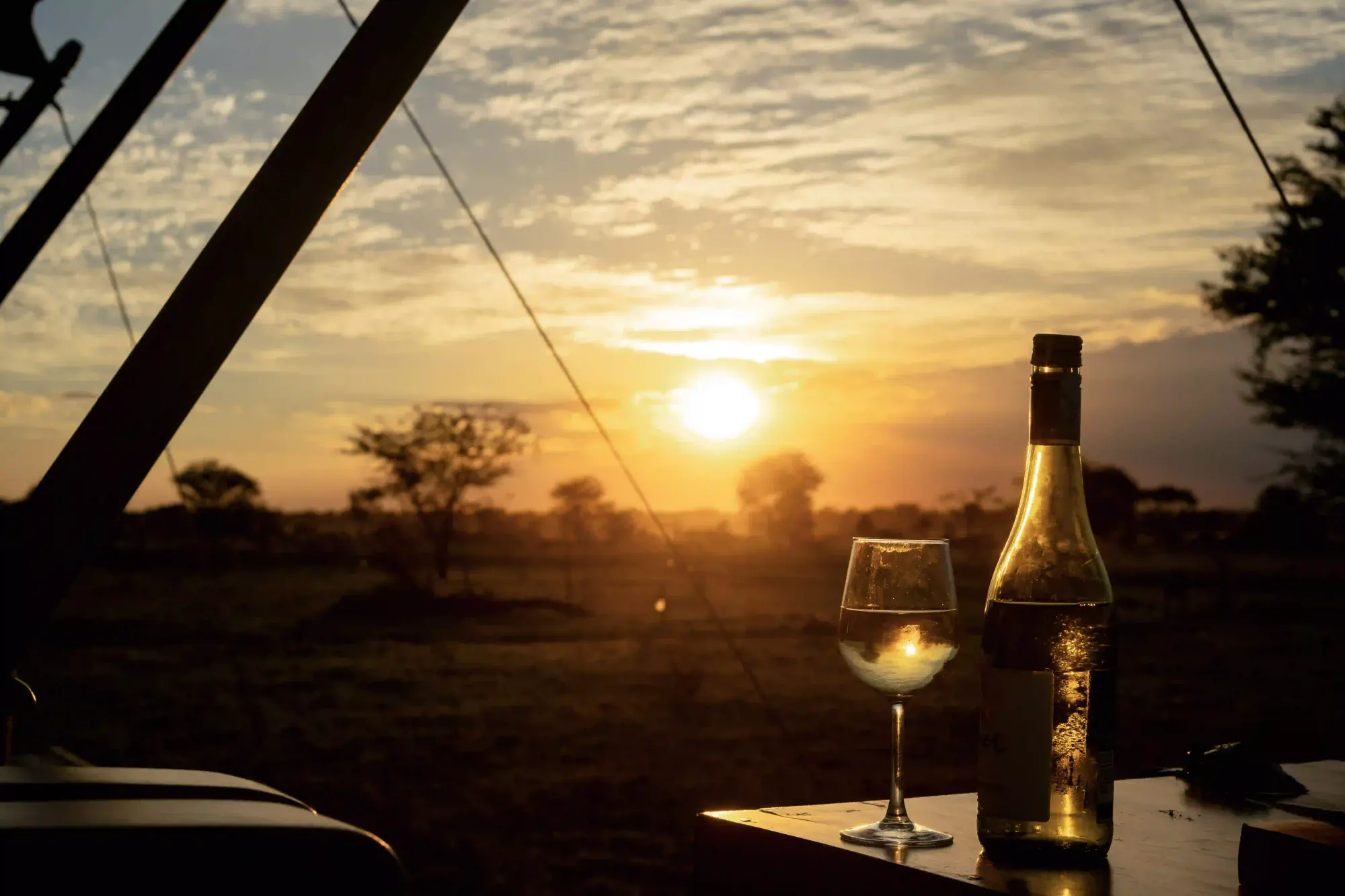 Best Luxury Safari Lodges and Camps in Tanzania: Angel’s Complete Guide – photo 4