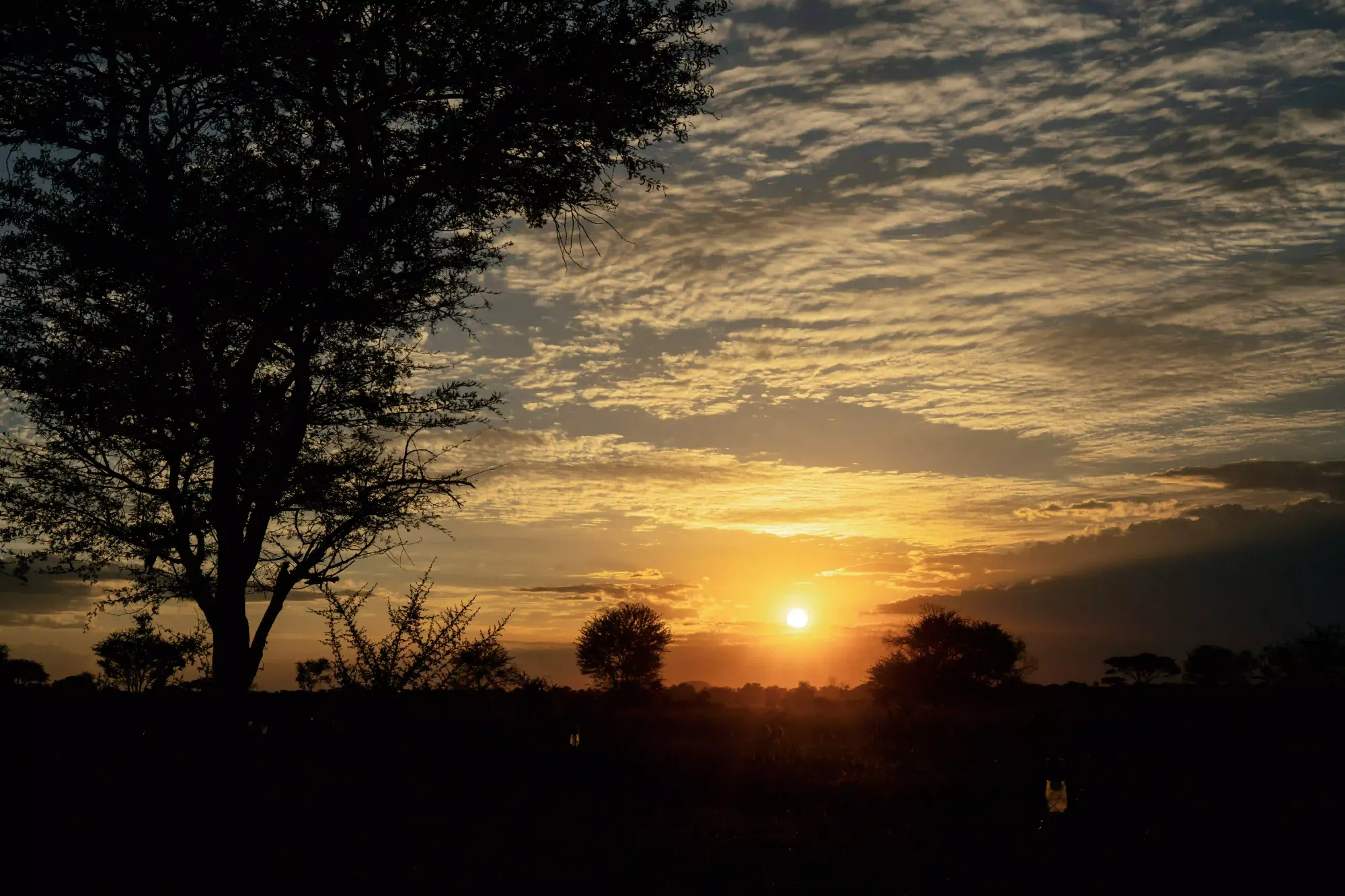 Best Luxury Safari Lodges and Camps in Tanzania: Angel’s Complete Guide – photo 6