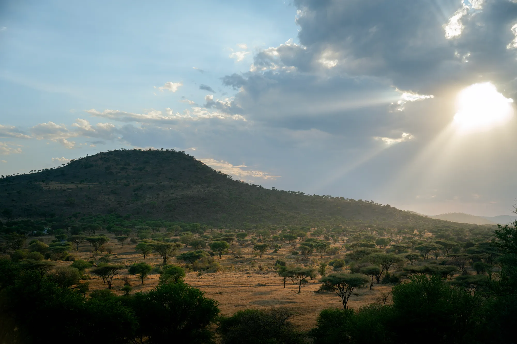 Sunbeams breaking over a hill in the Serengeti