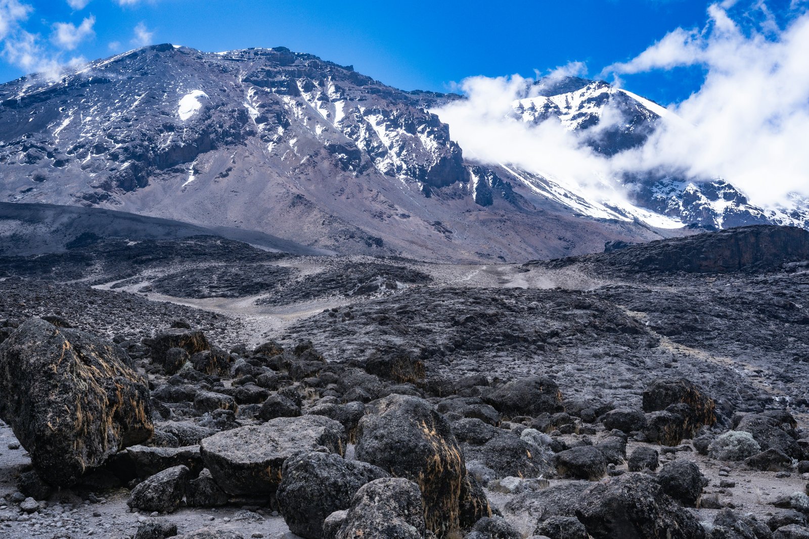 10-Day Kilimanjaro Via Northern Circuit