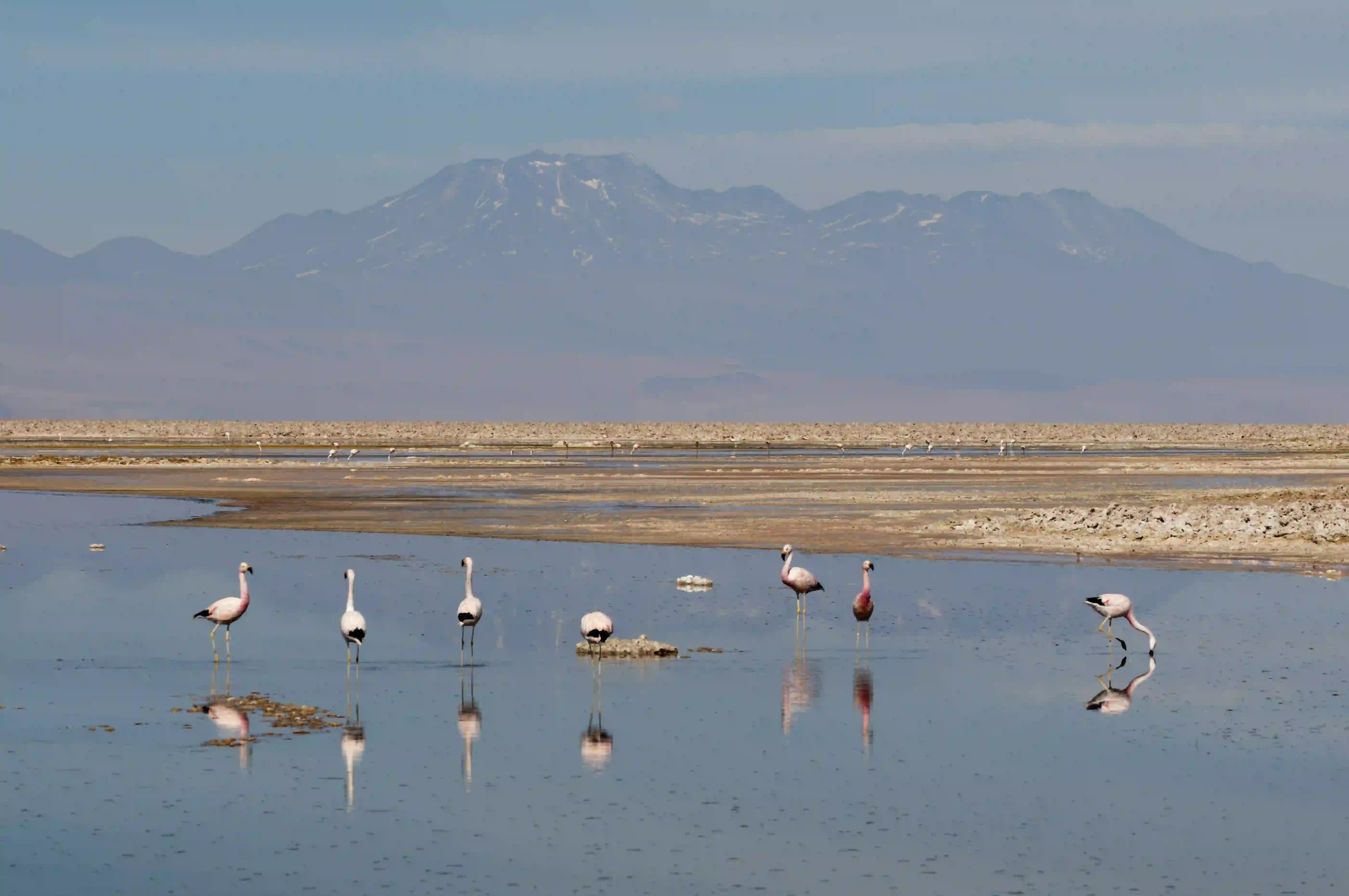 Lake Natron – photo 1