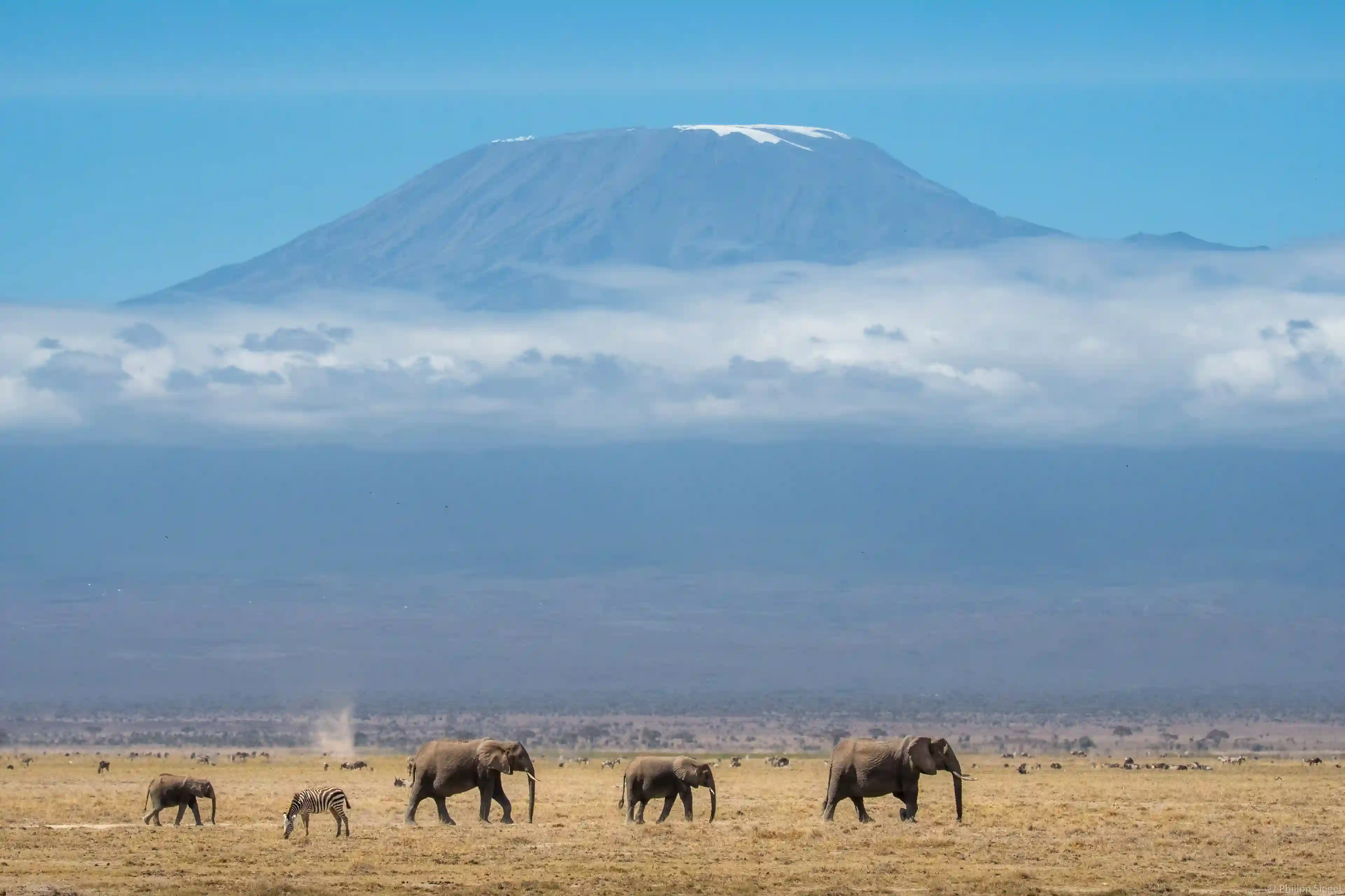 Tarangire National Park – photo 2
