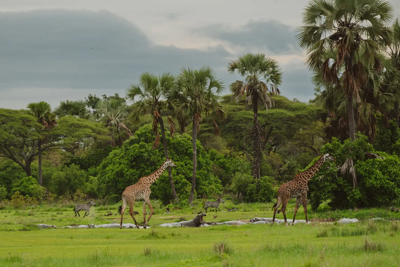 Katavi National Park – photo 3