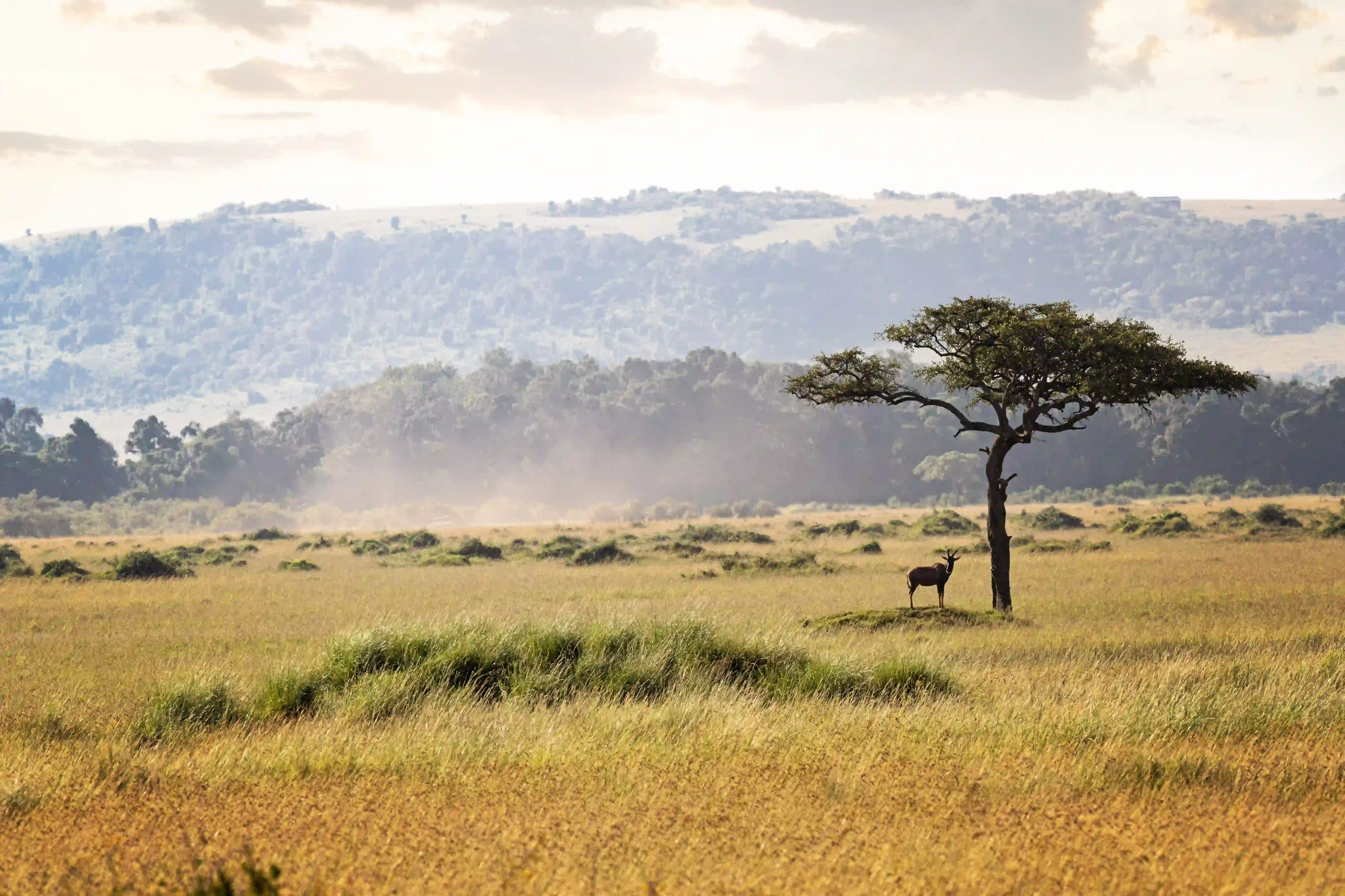 Rift Valley Panorama