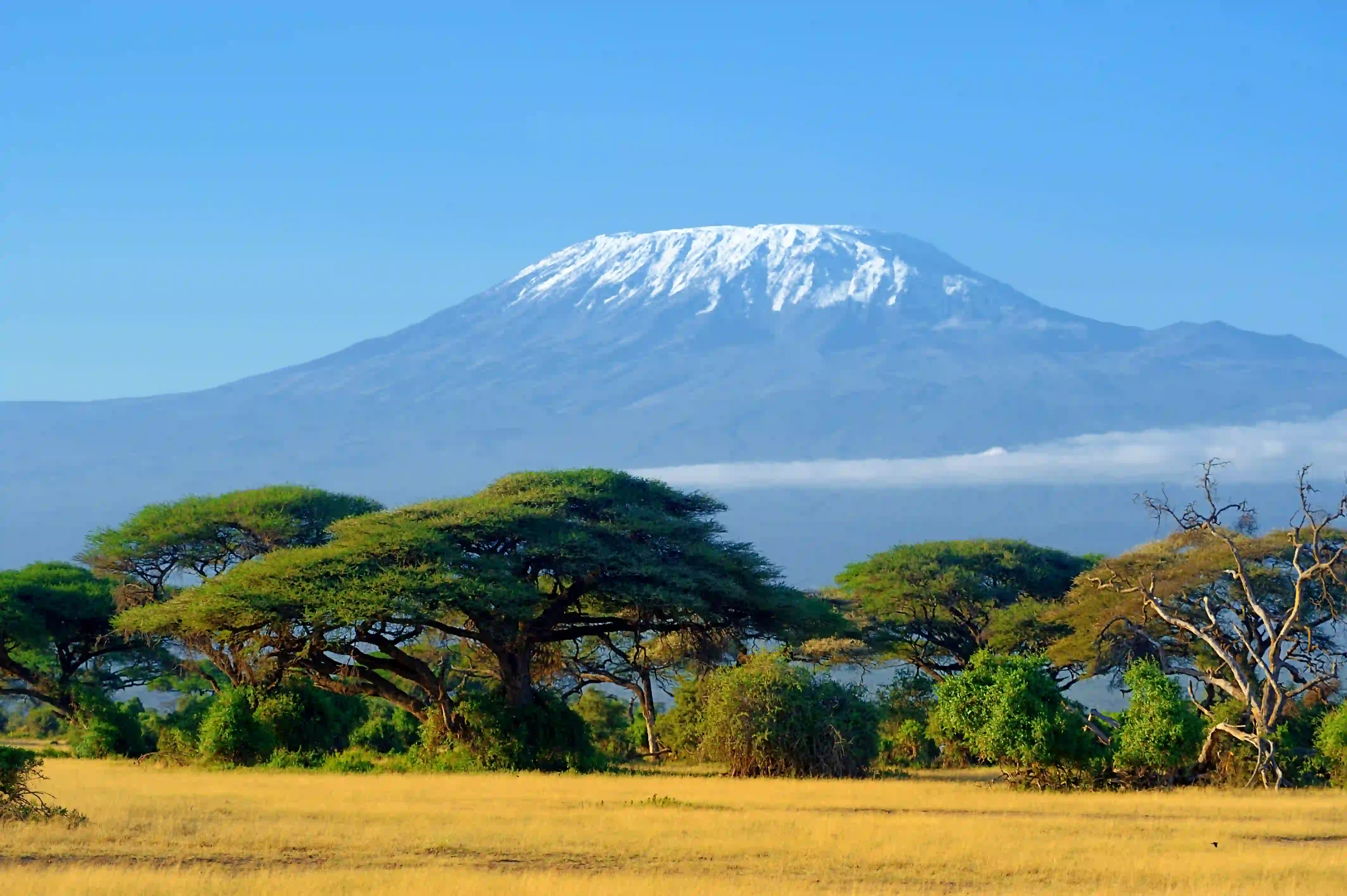 Mount Kilimanjaro – photo 1