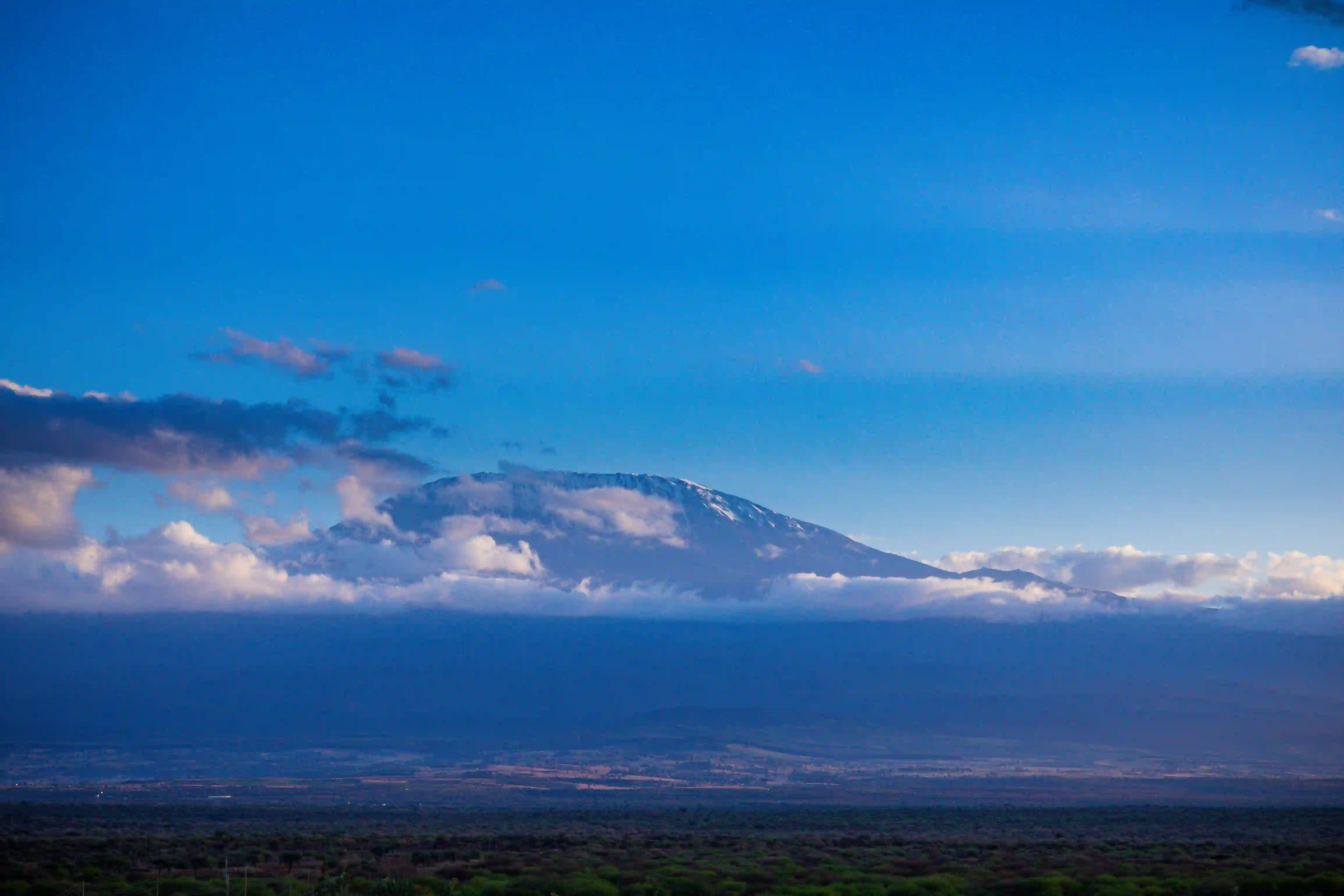 Kilimanjaro at Dawn