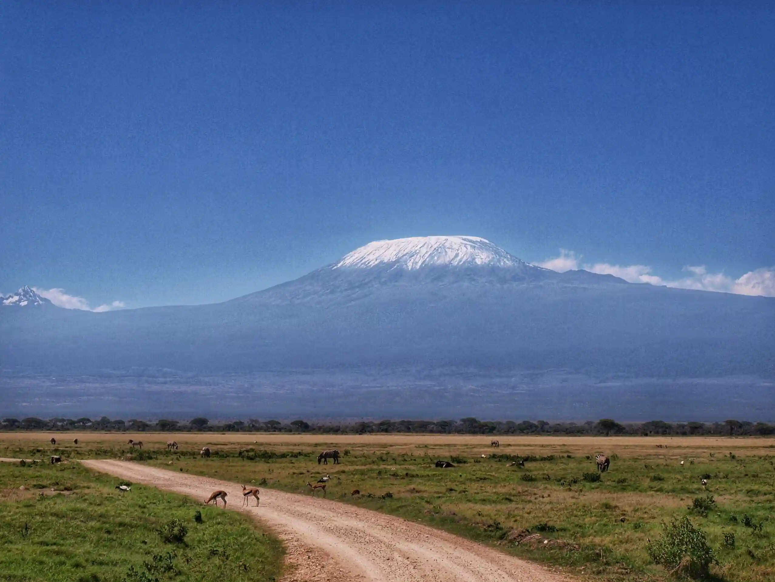 How Difficult Is Mount Kilimanjaro? Angel’s Honest Fitness, Altitude and Summit Guide – photo 2