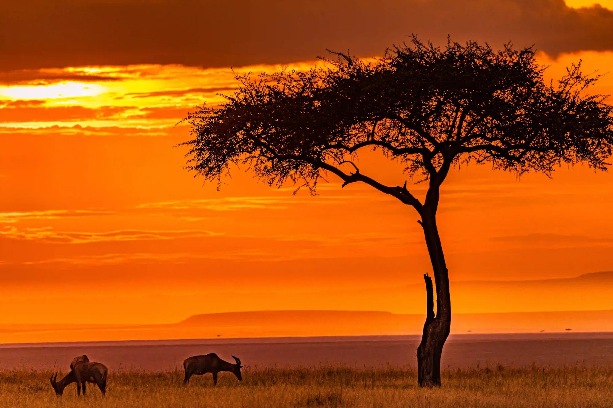 Tanzania Safari Packing List: Angel’s Complete Guide – photo 1