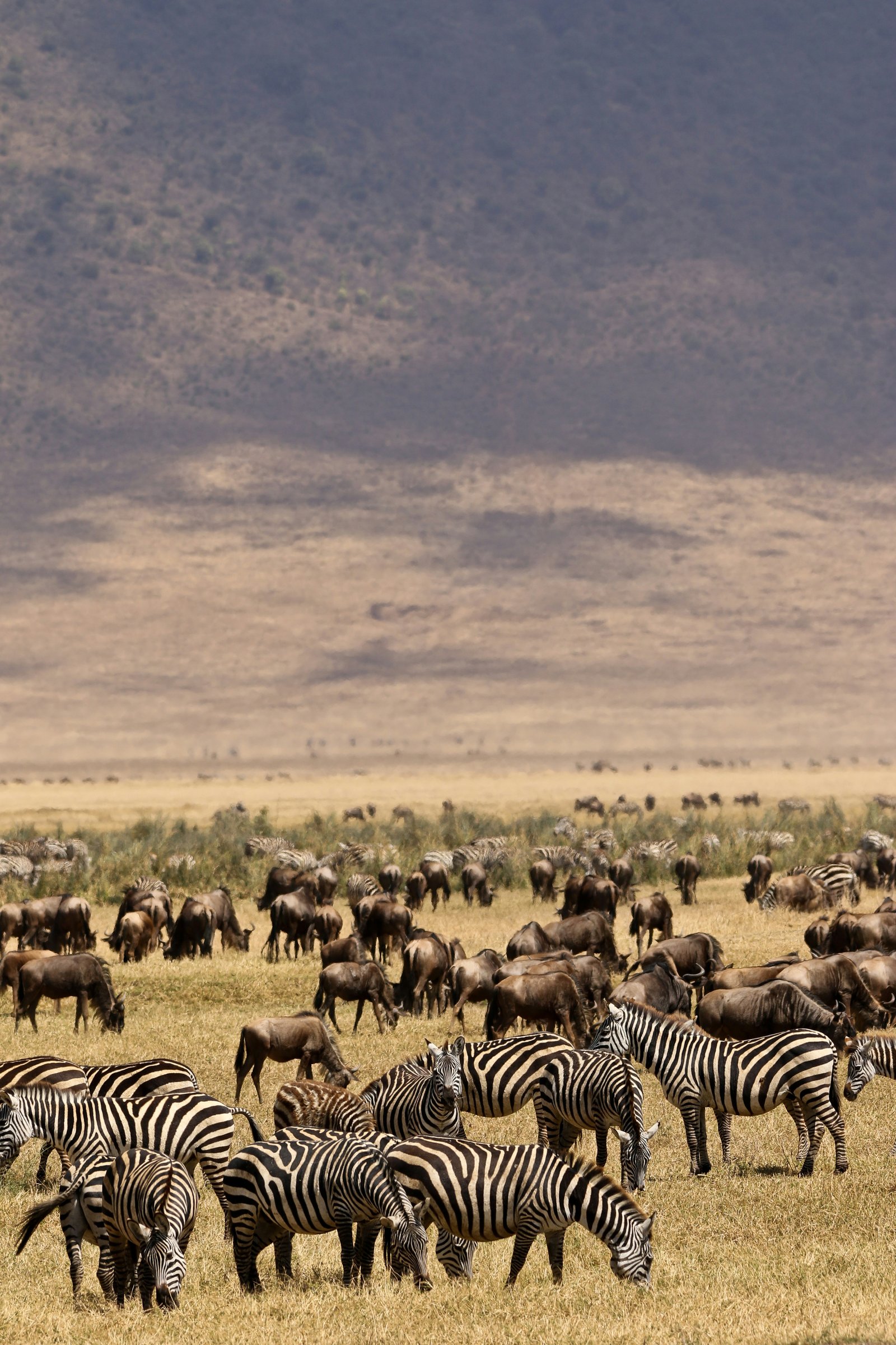 10-Day Great Migration, Culture, and Acidic Lakes Safari