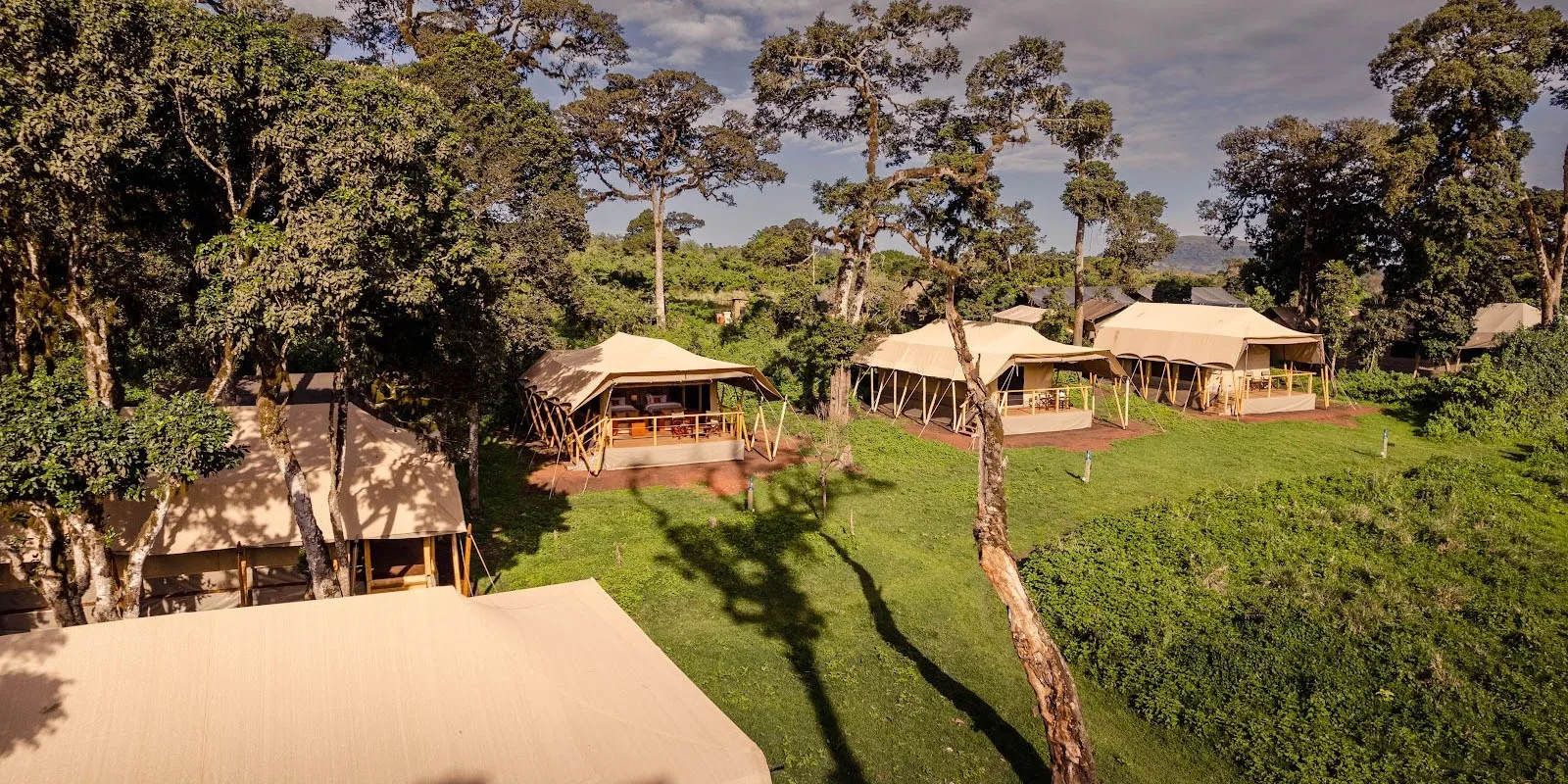 Guest tents among the trees on the rim