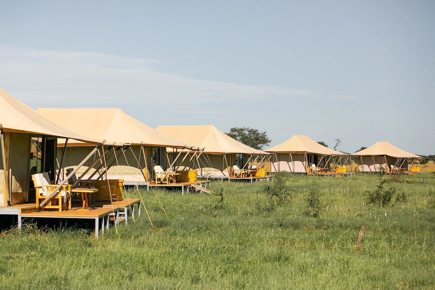 Guest tents in a row on the open plains