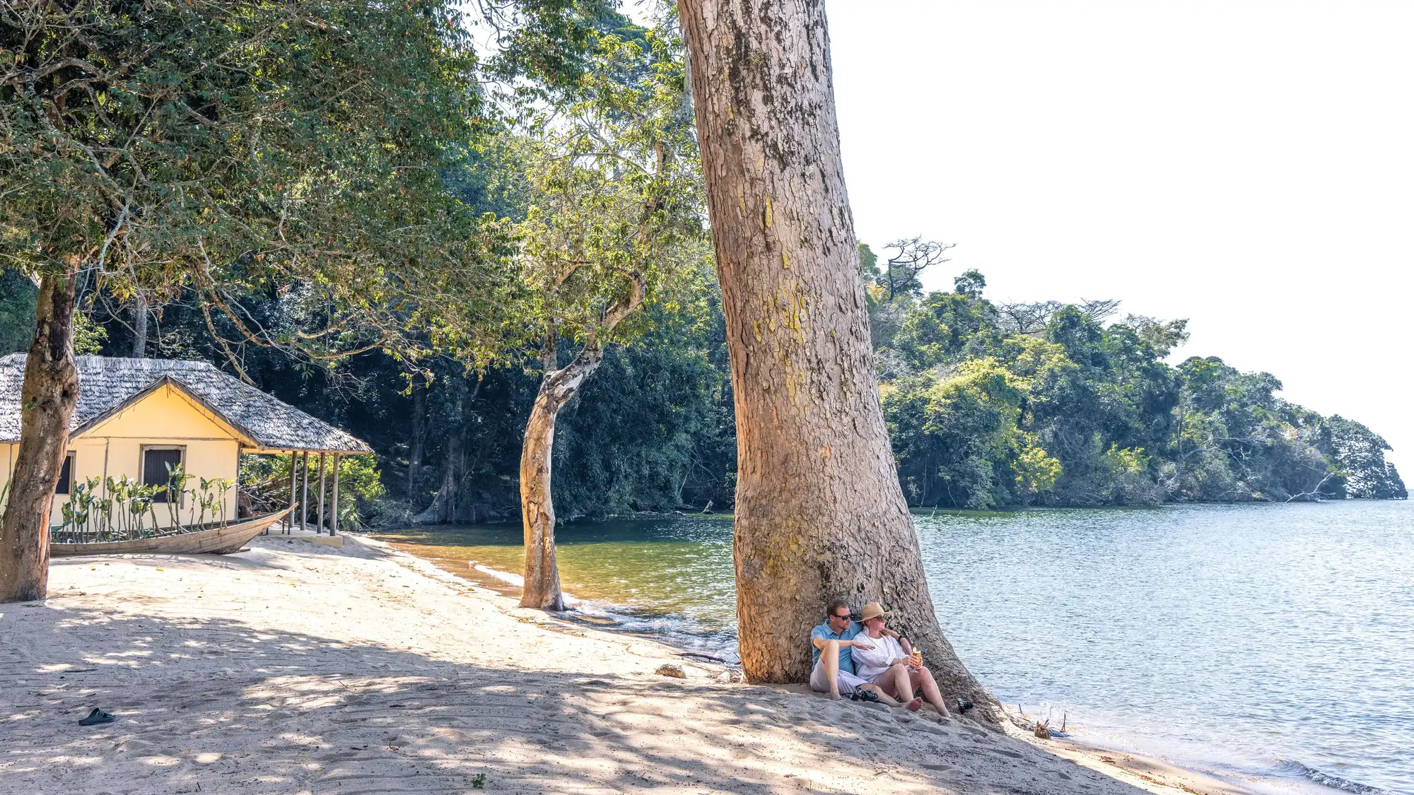 Guests under a giant tree beside a beach cottage