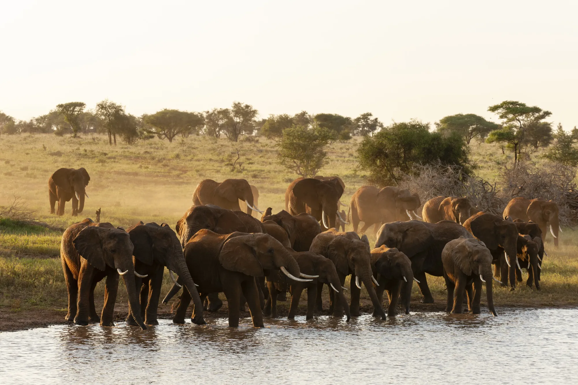 Serengeti National Park