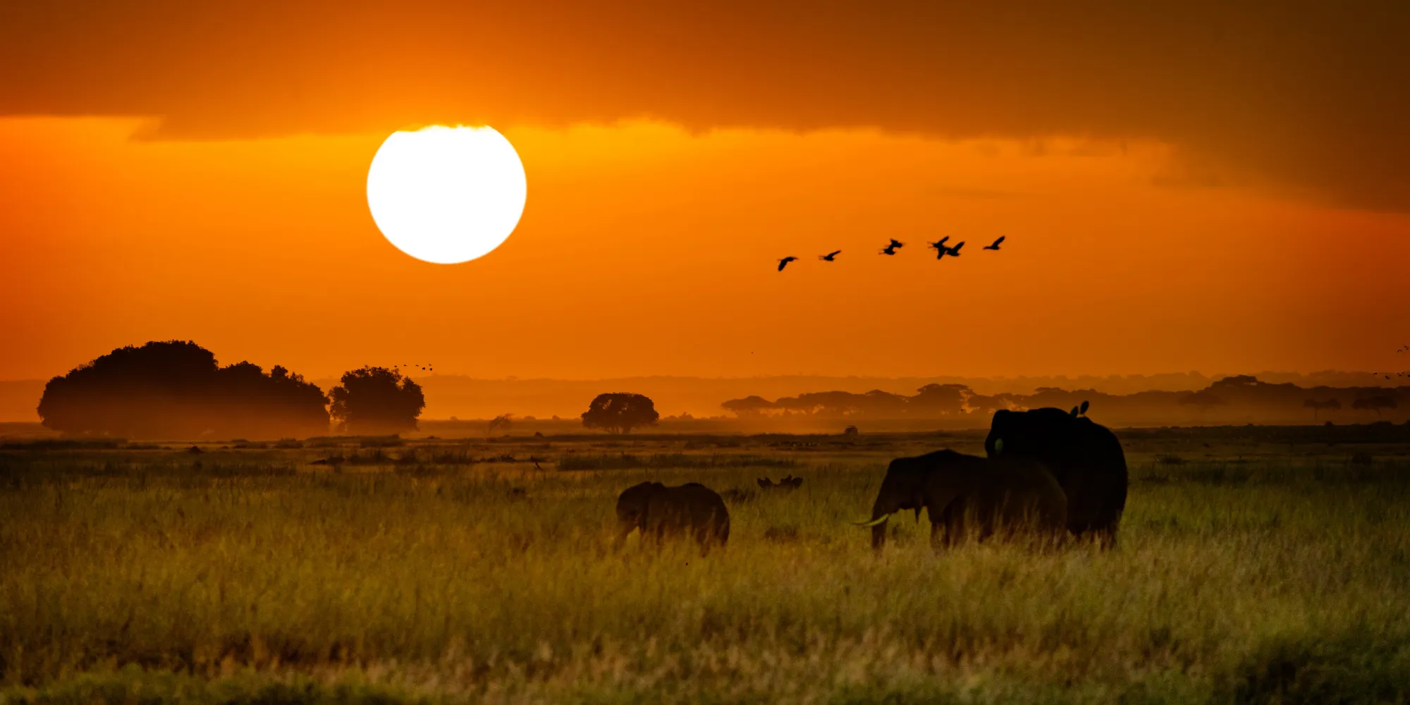Tarangire National Park
