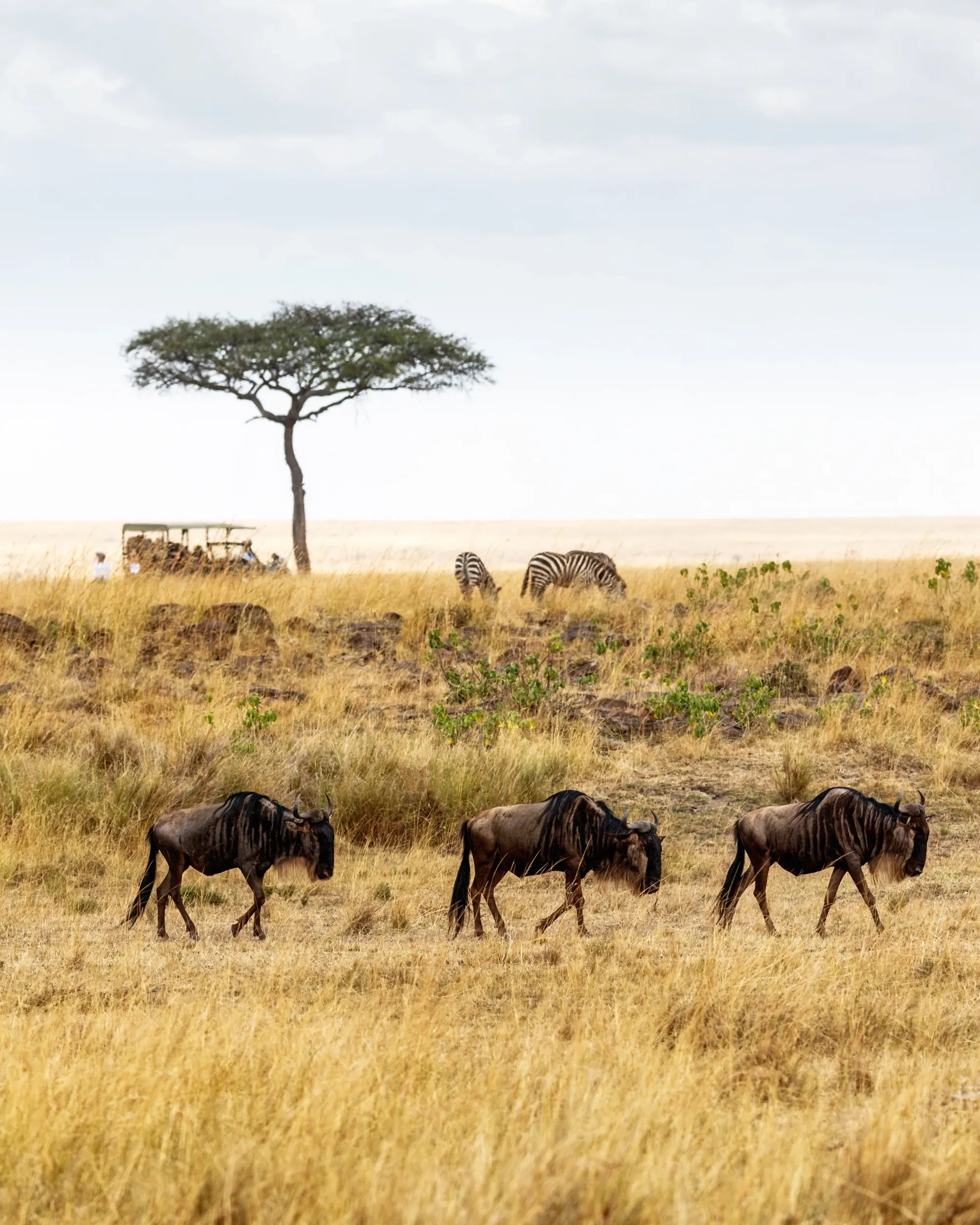 Is Tanzania Safe for Safari? Angel’s Complete Guide – photo 4
