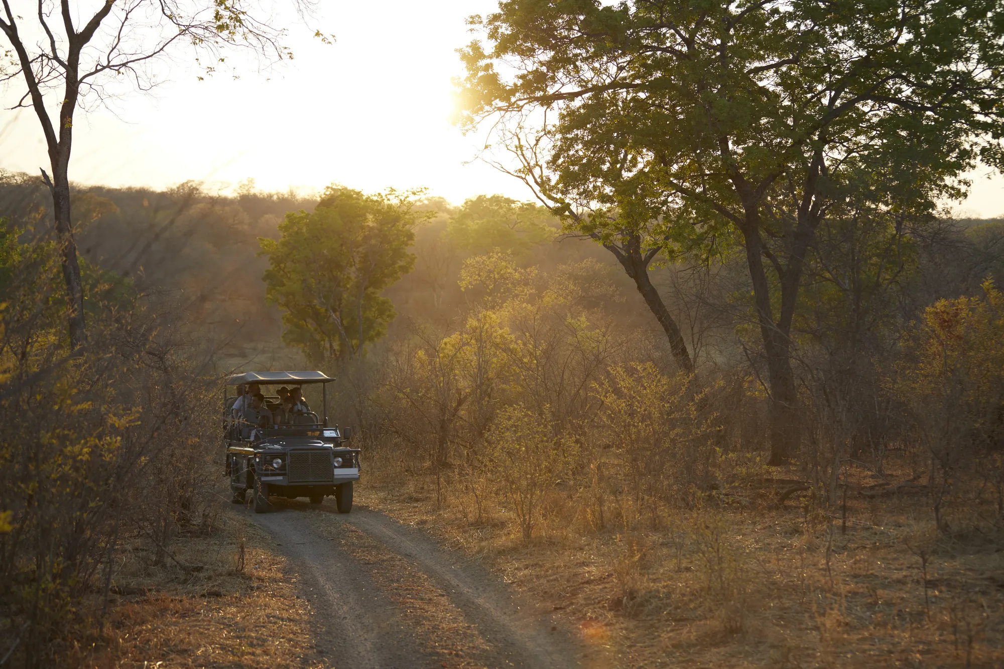 Tanzania Safari Packing List: Angel’s Complete Guide – photo 2