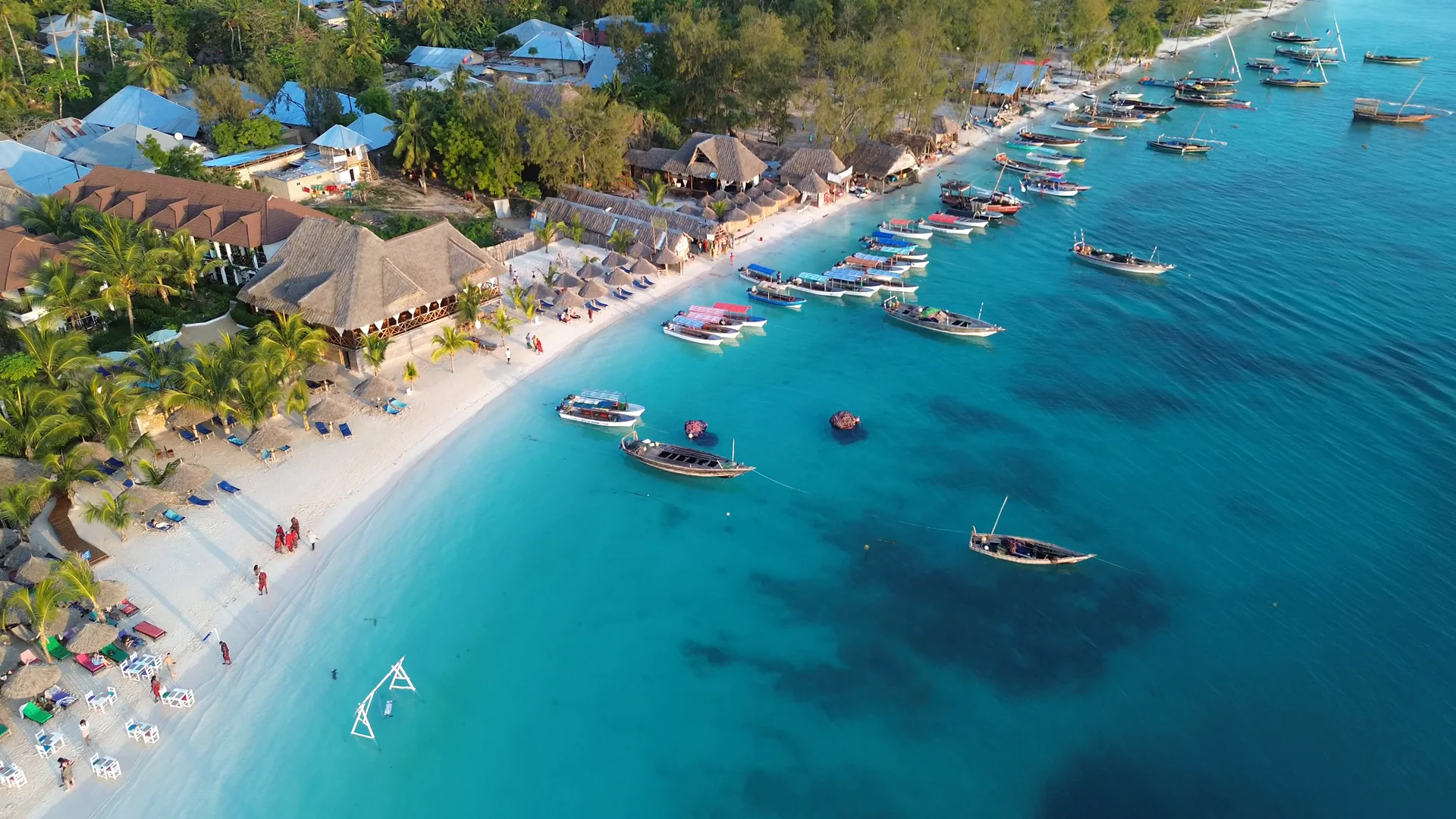 Dhows moored off a palm-lined Zanzibar beach, seen from the air
