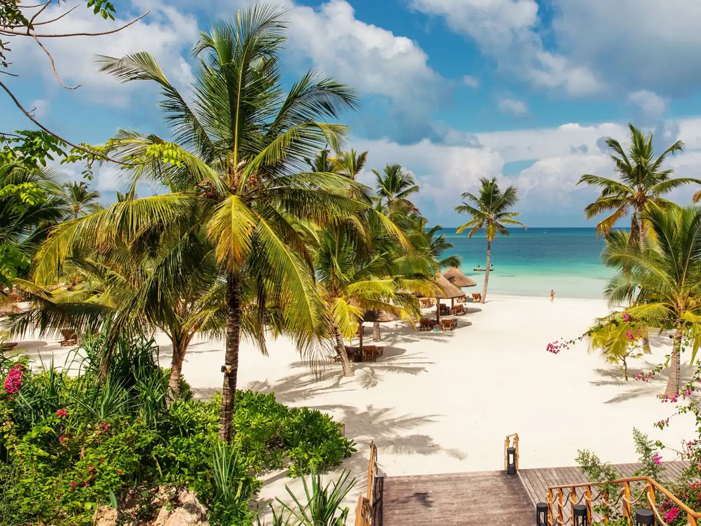 10-Day Nyerere, Ruaha and Zanzibar Safari