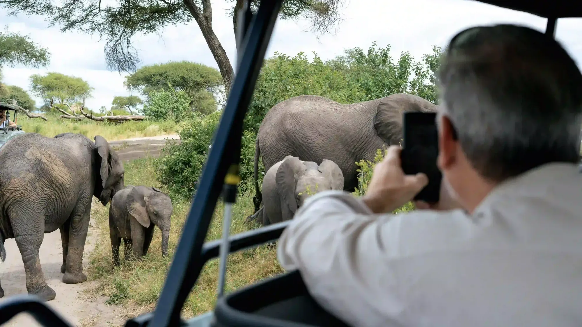 A guest photographing an elephant family with a calf from an open safari vehicle in Tarangire