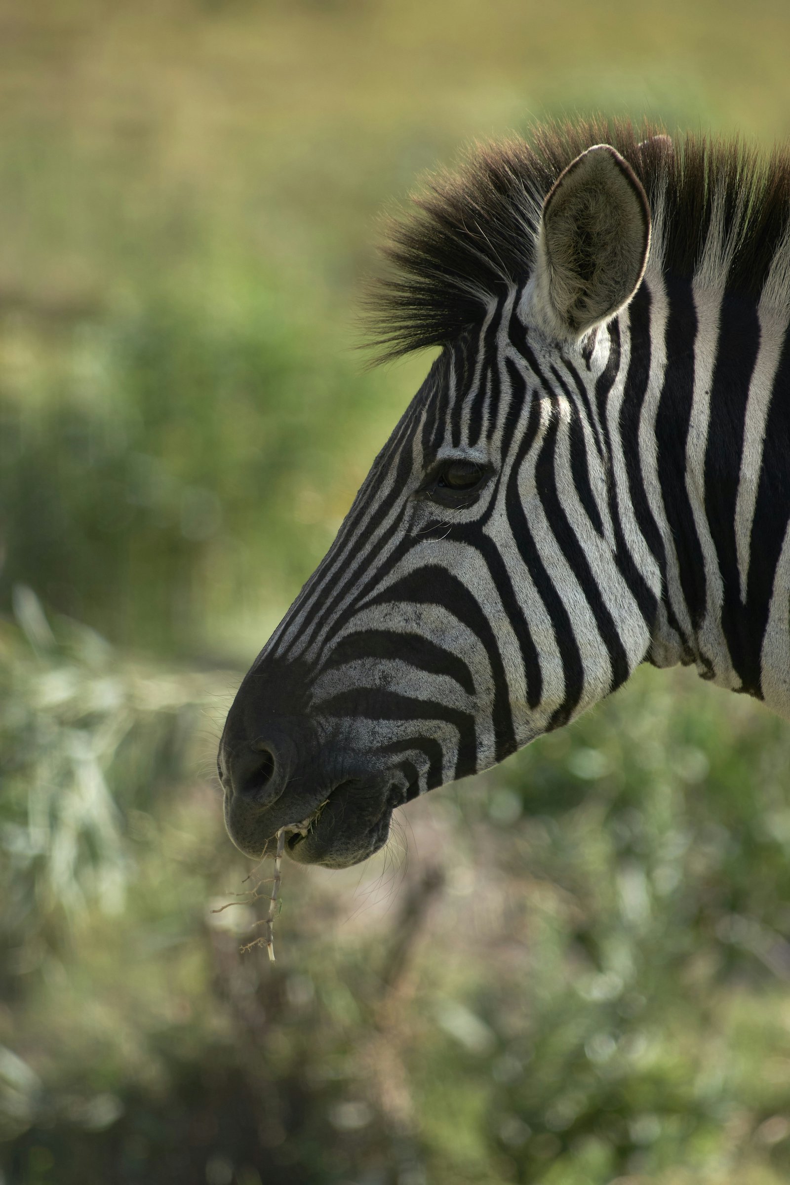 Lake Manyara